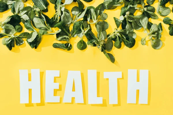 Beautiful green leaves and inscription health on yellow — Stock Photo