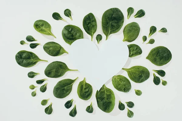 Top view of beautiful fresh green leaves and blank white heart symbol with copy space on grey — Stock Photo