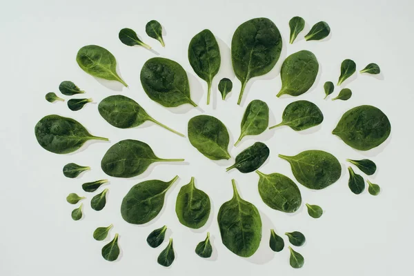 Vista superior de hermosas hojas de espinacas verdes frescas de varios tamaños aisladas en gris - foto de stock