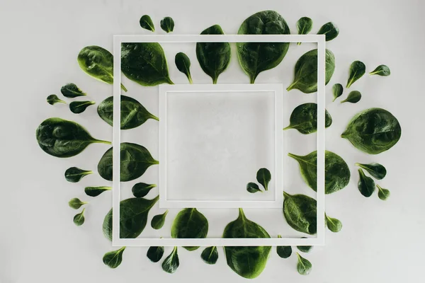 Top view of white square frames and beautiful fresh green leaves on grey — Stock Photo