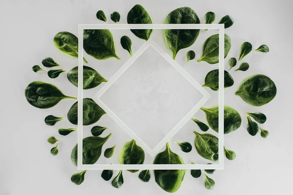 Top view of beautiful fresh green leaves, white rhombus and square on grey — Stock Photo