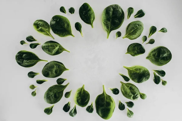 Вид сверху круглой рамы из свежих зеленых листьев шпината, изолированных на сером — стоковое фото