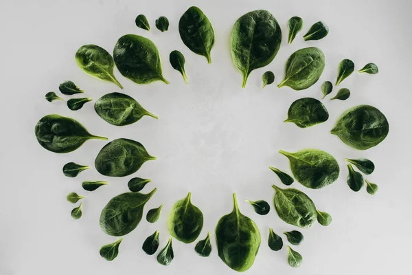 Vue de dessus du cadre rond en feuilles d'épinard vert frais isolées sur gris — Photo de stock