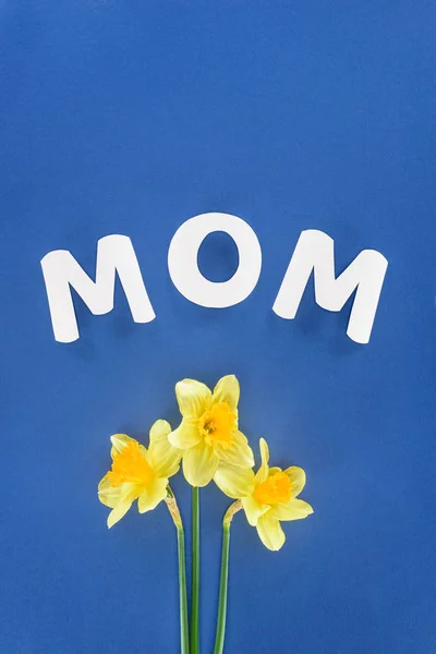 Top view of daffodils and word mom isolated on blue, mothers day concept — Stock Photo