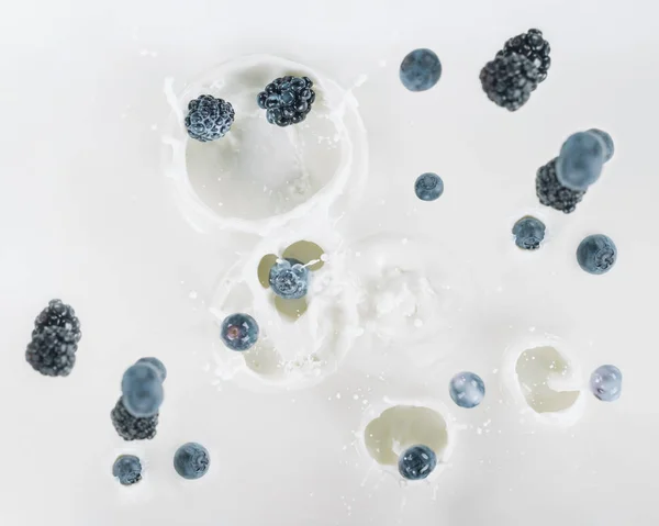 Mûres et bleuets tombant dans le lait sur fond blanc — Photo de stock