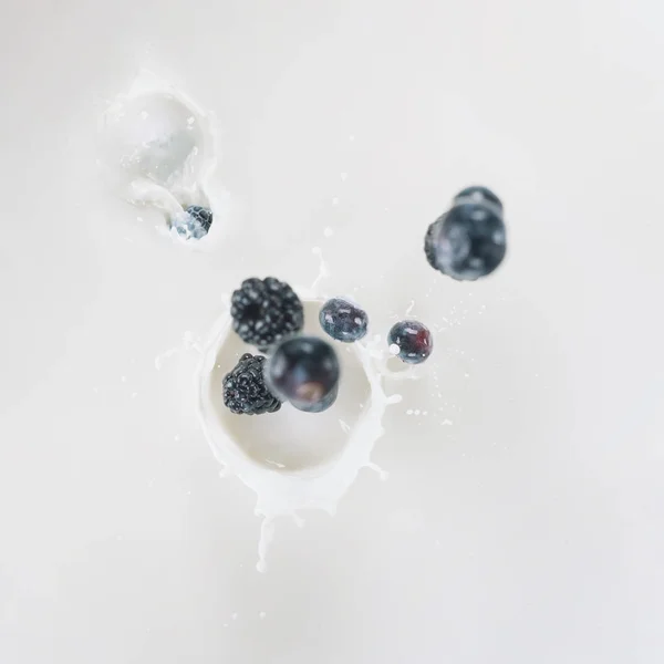 Raw blue berries splashing into milk on white background — Stock Photo