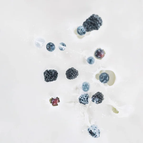 Blackberries and blueberries dropping into milk on white background — Stock Photo
