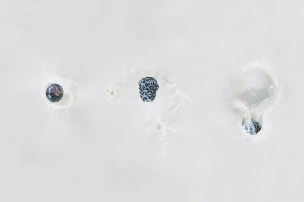 Tre bacche di fila che cadono nel latte su sfondo bianco — Foto stock