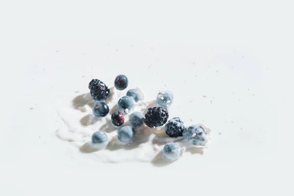 Juicy berries falling in milk with drops on white background — Stock Photo
