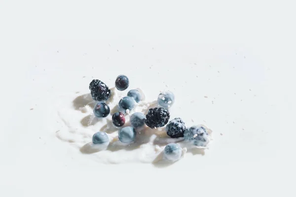 Bayas jugosas que caen en la leche con gotas sobre fondo blanco - foto de stock