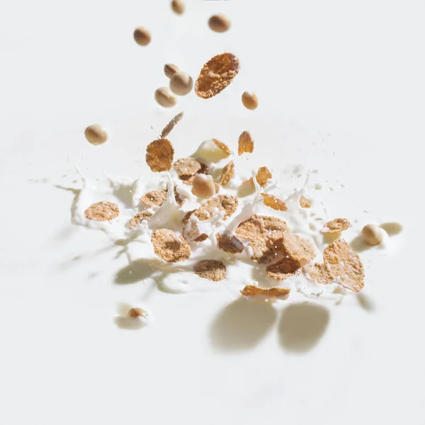 Cereal flakes and soybeans falling in milk with drops on white background — Stock Photo