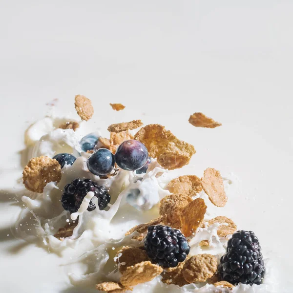 Зерновые завтраки с ягодами, плескающимися в молоко на белом фоне — стоковое фото