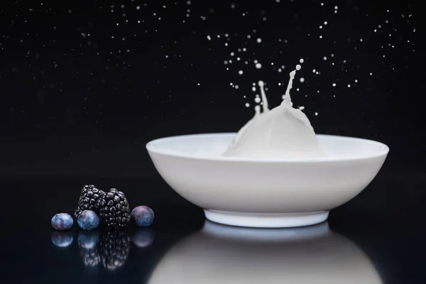 Blackberries and blueberries white bowl with splashing milk on black background — Stock Photo