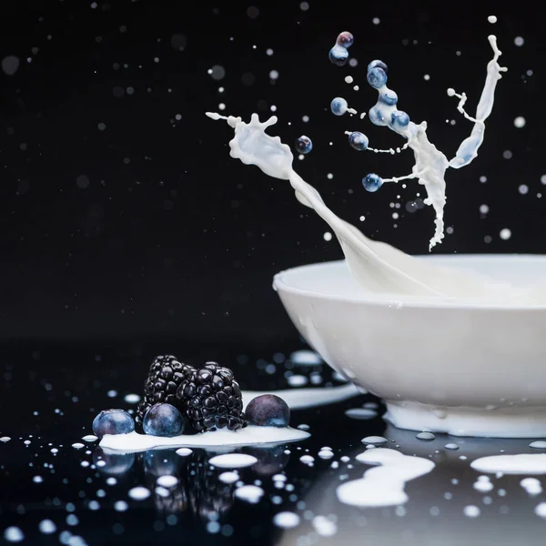 Juicy berries falling in white bowl with splashing milk on black background — Stock Photo