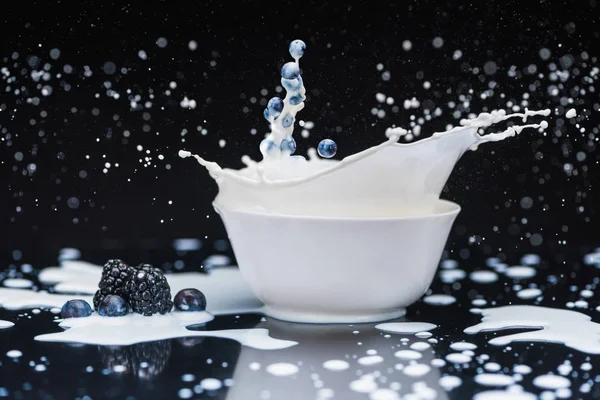 Raw blue berries splashing into white bowl with milk on black background — Stock Photo