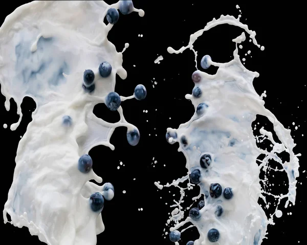 Waves of splashing milk with ripe berries on black background — Stock Photo