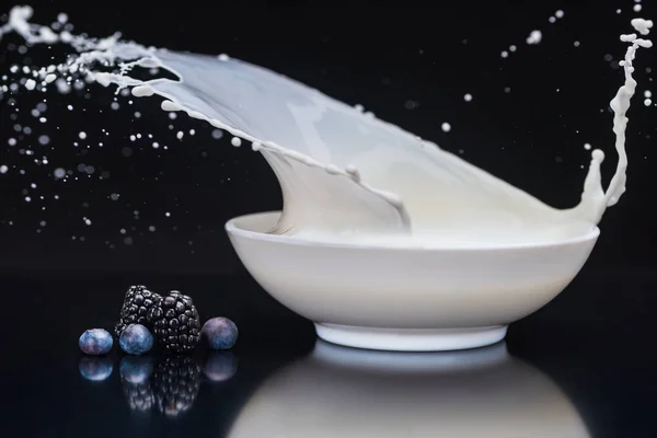 Blackberries and blueberries by white bowl with splashing milk on black background — Stock Photo