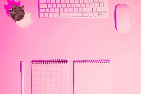 Pink toned picture of empty textbooks, pen, plant, computer keyboard and mouse on table — Stock Photo