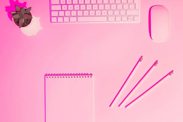 Pink toned picture of computer keyboard and mouse, plant, textbook and pencils on table — Stock Photo