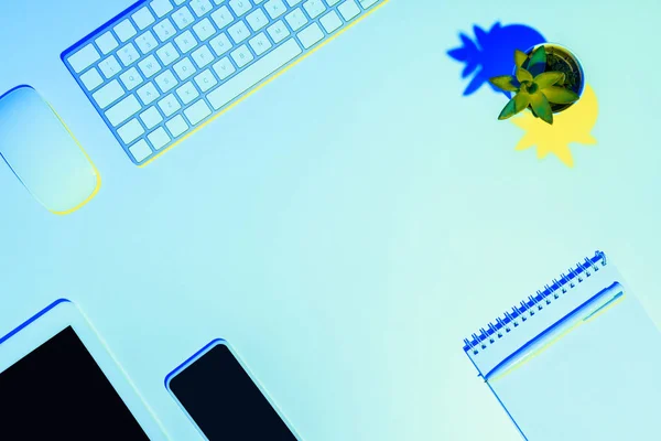 Imagen tonificada azul de la planta, ratón y teclado de la computadora, tableta digital, teléfono inteligente, pluma y libro de texto - foto de stock