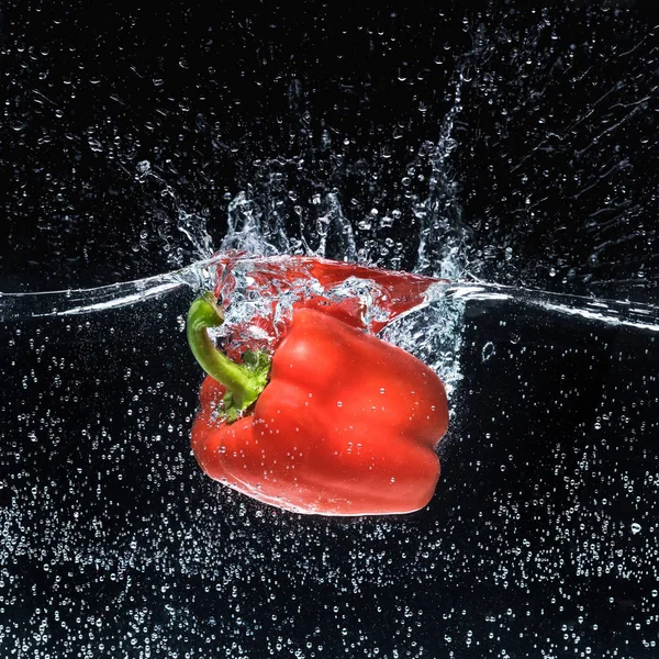 Nahaufnahme von reifer roter Paprika in Wasser isoliert auf schwarz — Stockfoto