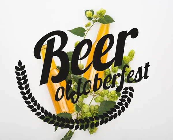 Вид зверху на пиво в пляшках з зеленим хопом на білому тлі з ілюстрацією пива Октоберфест — стокове фото