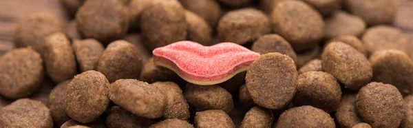 Close up view of dry pet food in lips shape, panoramic shot — Stock Photo