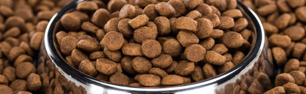 Dry pet food in silver bowl and around, panoramic shot — Stock Photo