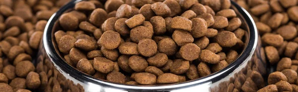 Comida seca para mascotas en tazón de plata y alrededor, plano panorámico - foto de stock