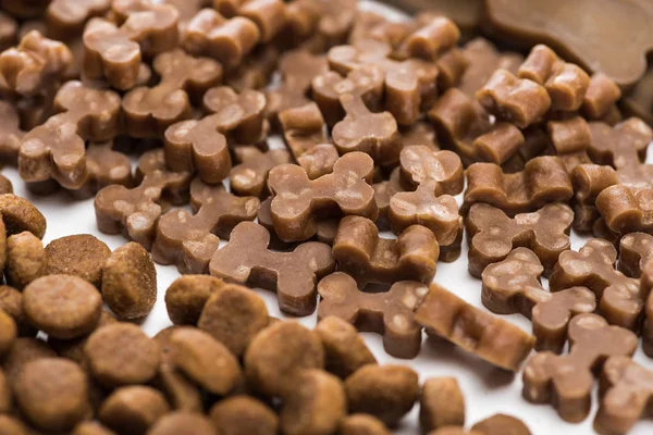 Close up view of fresh assorted dry pet food in lines isolated on white — Stock Photo