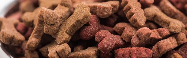 Close up view of fresh dry pet food in bones shape, panoramic shot — Stock Photo