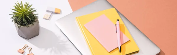 Panoramic shot of laptop, notebooks, pen, plant, erasers, paper clips and paper — Stock Photo