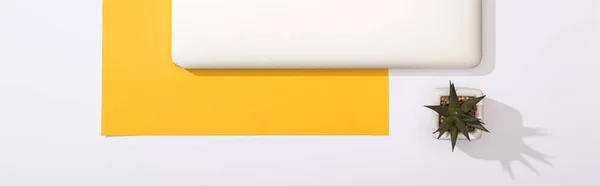 Панорамный снимок ноутбука, зеленого растения и желтой бумаги — стоковое фото