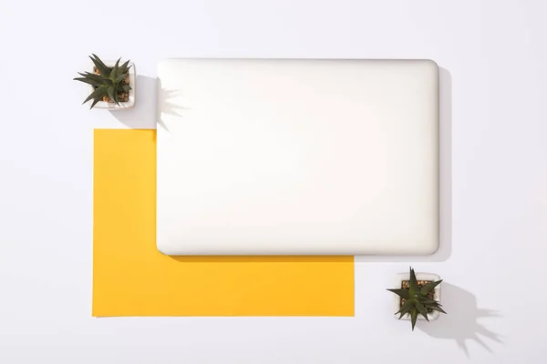 Top view of laptop, green plants and yellow paper — Stock Photo