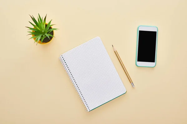 Top view of green plant, blank notebook near pencil and smartphone on beige background — Stock Photo