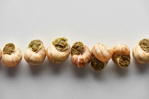 Draufsicht auf köstliche gekochte Escargots in Reihe auf weißem Hintergrund — Stockfoto