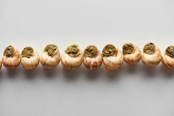 Vista superior de deliciosos escargots cozidos em linha no fundo branco — Fotografia de Stock