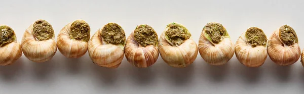 Vue de dessus de délicieux escargots cuits en rangée sur fond blanc, vue panoramique — Photo de stock