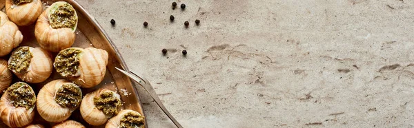 Vista superior de deliciosas escargotas cocidas servidas sobre fondo de piedra con pimienta negra, plano panorámico - foto de stock