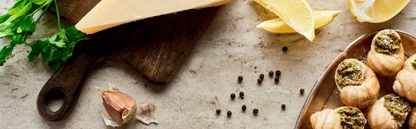 Vue de dessus de délicieux escargots cuits avec tranches de citron, parmesan, ail, persil, poivre noir et pincettes sur fond de pierre, panoramique — Photo de stock