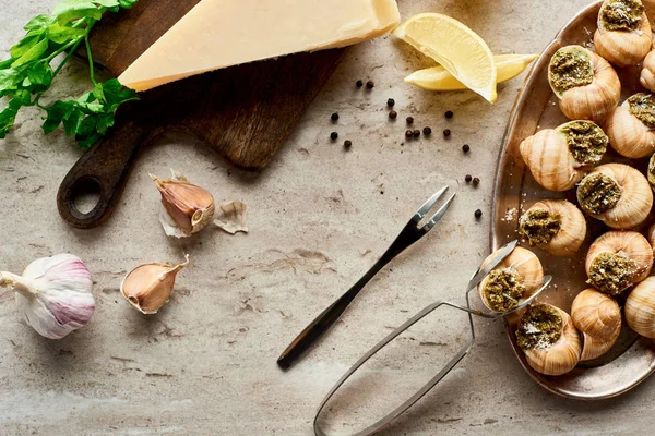 Blick von oben auf köstliche gekochte Escargots mit Zitronenscheiben, Parmesan, Knoblauch, Petersilie, schwarzem Pfeffer und Pinzette auf Steinhintergrund — Stockfoto