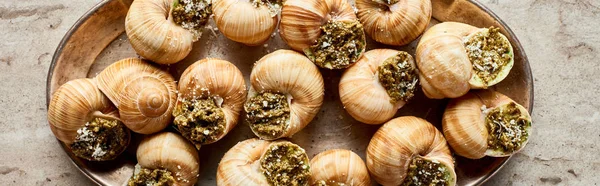 Vista superior de deliciosos escargots cozidos na placa no fundo de pedra, tiro panorâmico — Fotografia de Stock