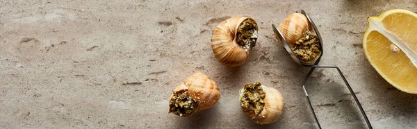 Vista superior de deliciosas escargots cocidas con limón y pinzas sobre fondo de piedra, plano panorámico — Stock Photo