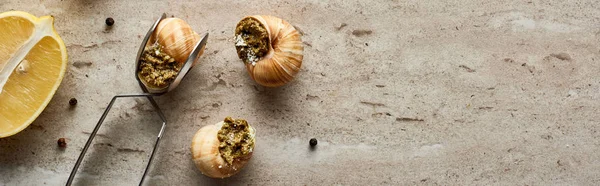 Vista superior de deliciosas escargots cocidas con limón, pimienta negra y pinzas sobre fondo de piedra, plano panorámico - foto de stock