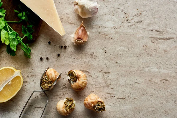 Vista superior de deliciosas escargots cocidas con limón, parmesano, ajo, perejil, pimienta negra y pinzas sobre fondo de piedra - foto de stock