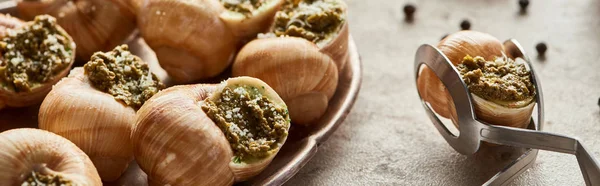 Close up view of delicious cooked escargots with black peppercorn and tweezers on stone background, panoramic shot — Stock Photo