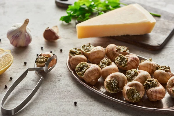 Selective focus of delicious cooked escargots near lemon, Parmesan, garlic, parsley, black peppercorn and tweezers on stone background — Stock Photo