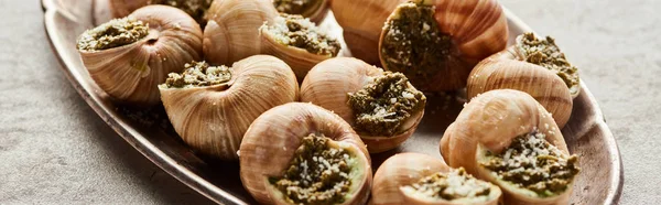 Deliciosos escargots na placa no fundo de pedra, tiro panorâmico — Fotografia de Stock