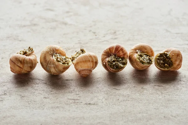 Deliciosos escargots gourmet em linha no fundo de pedra — Fotografia de Stock