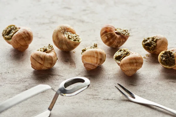 Delicious gourmet escargots with tweezers on stone background — Stock Photo